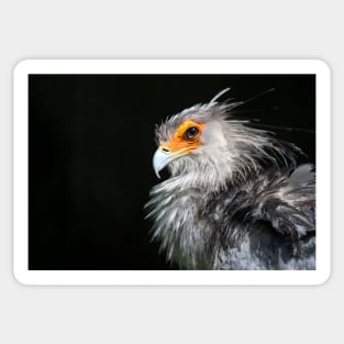 Secretarybird Sticker